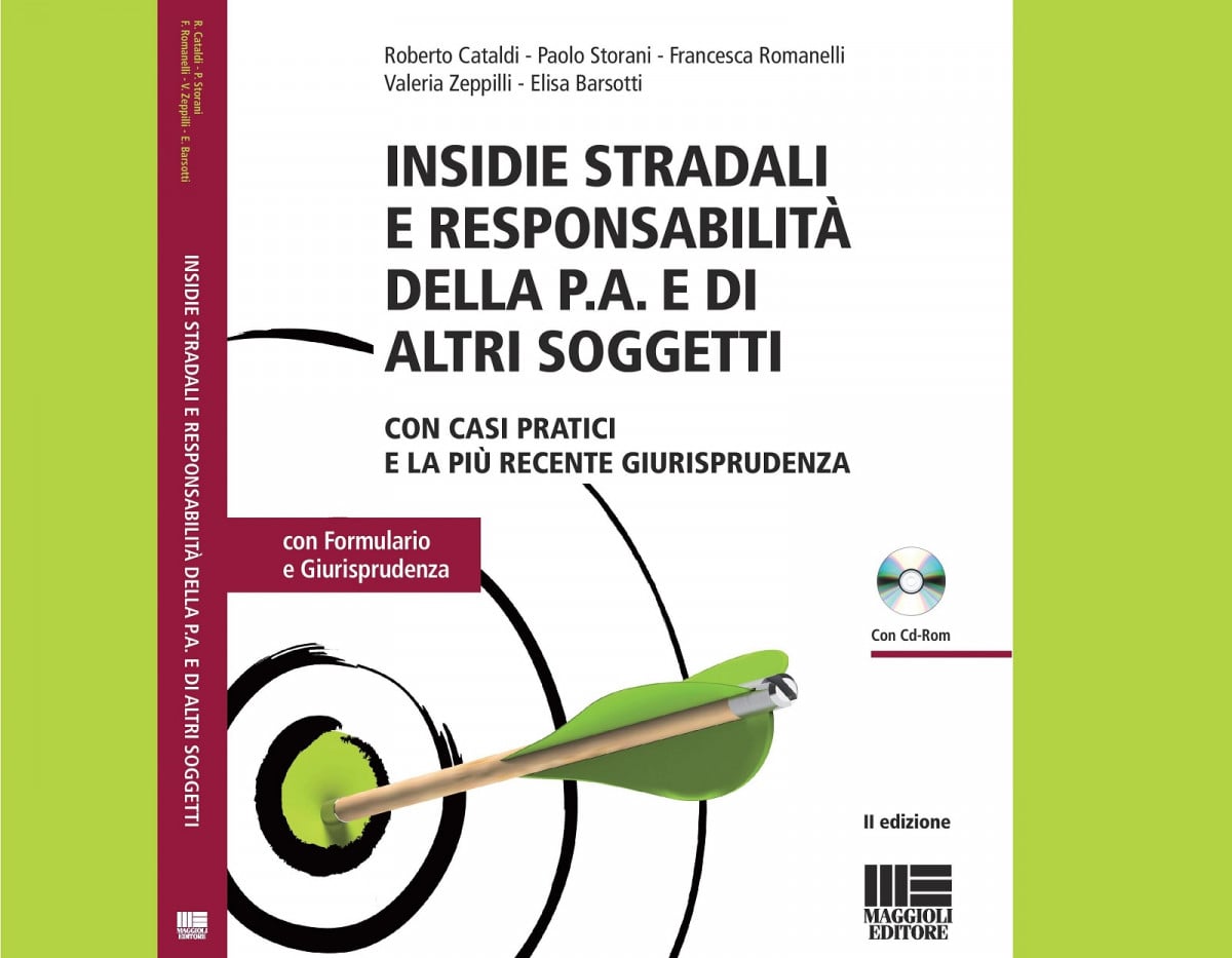 In libreria: Insidie stradali: la responsabilità della pubblica amministrazione e di altri soggetti