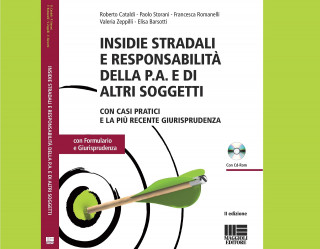 In libreria: Insidie stradali: la responsabilità della pubblica amministrazione e di altri soggetti