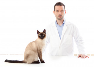 Viaggio nelle insidie del consenso informato in veterinaria