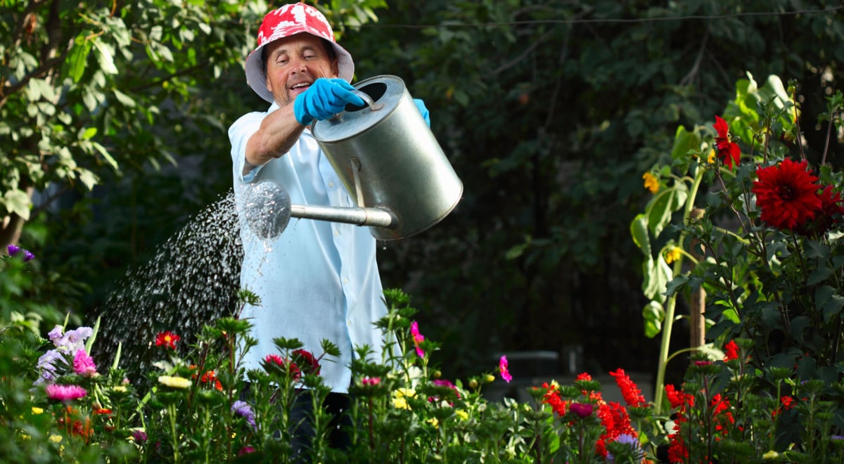 Arriva il Bonus Verde: detrazione Irpef per giardini e terrazze