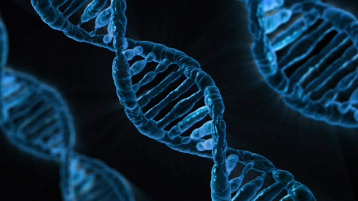 Cassazione: il rifiuto di sottoporsi all'esame del DNA può costituire prova della paternità