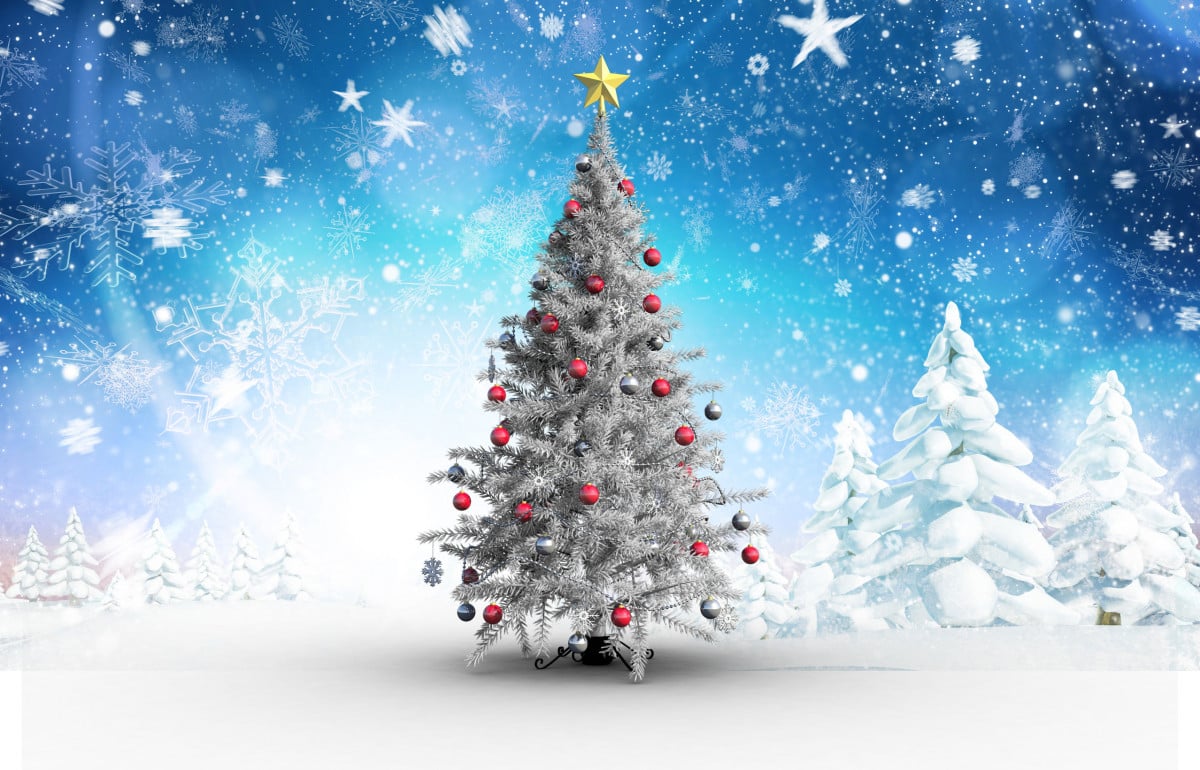 L'albero di Natale non può disturbare il vicino