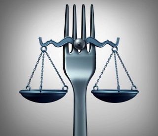 Il diritto al cibo
