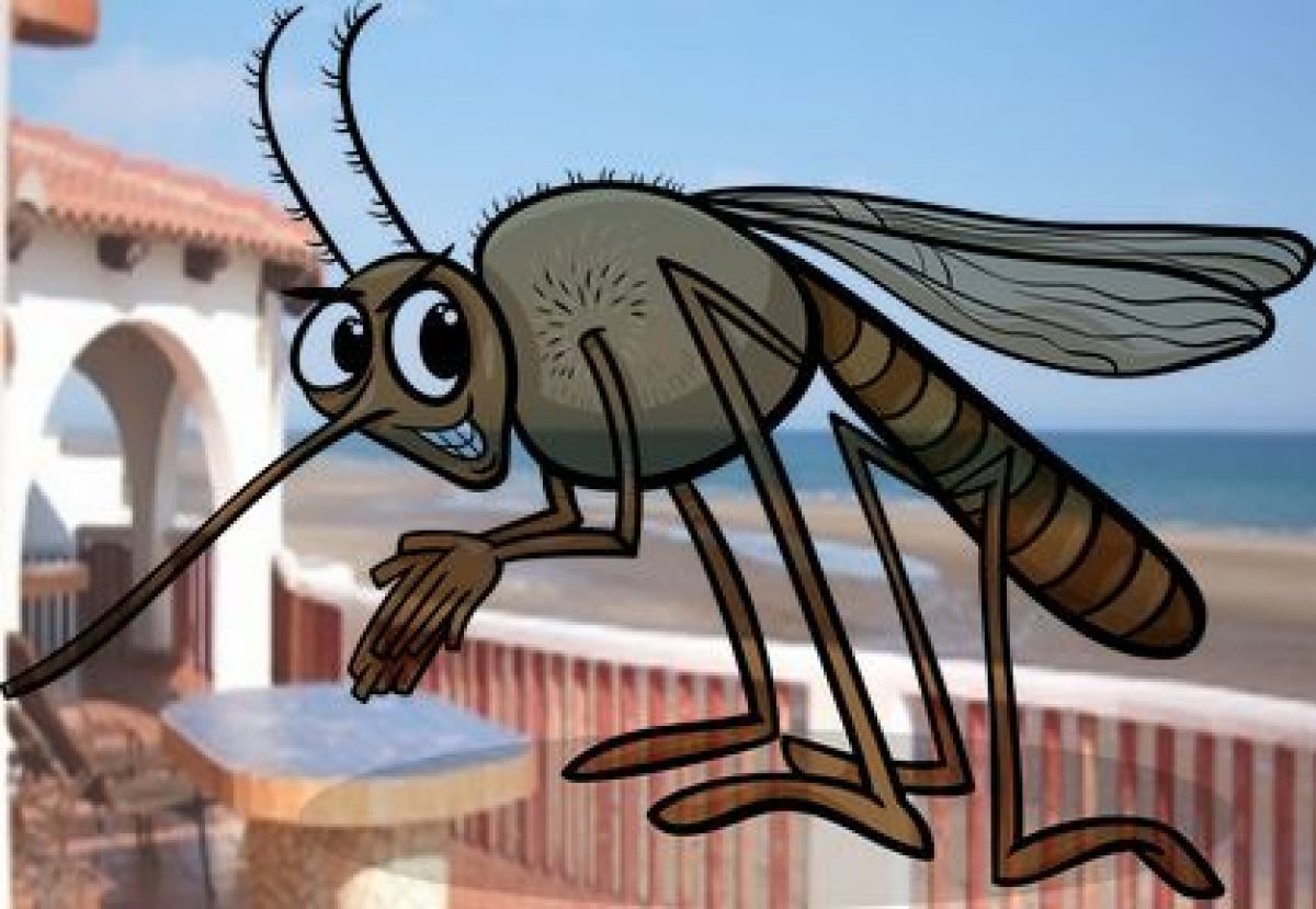 Vacanze rovinate dagli insetti? Il villaggio deve risarcire i danni