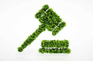 La tutela dell'ambiente nel diritto amministrativo