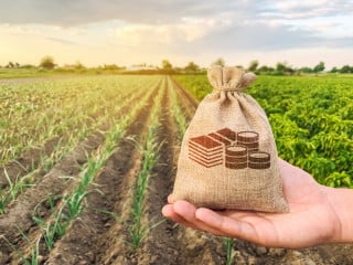 Contratti agrari: illegittimo il canone su reddito dominicale