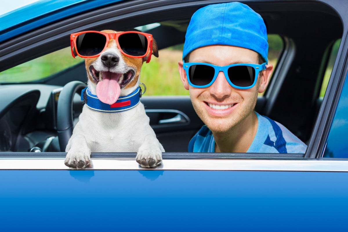 Come viaggiare con gli animali domestici ed evitare le multe