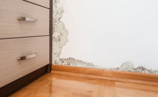 La responsabilità del locatore per la formazione di muffa nell'immobile locato