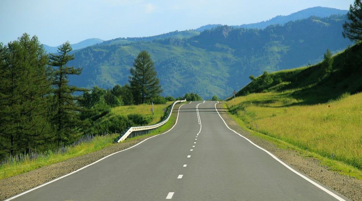Se un capriolo taglia la strada a un automobilista? I danni li paga l'ente che concretamente gestisce il territorio