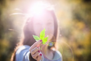 Marijuana: al via il corso di coltivazione in piazza