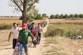 Immigrazione: decreto per altri 10.000 lavoratori stagionali