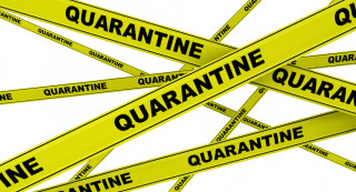 Quarantena Covid: non viola la libertà personale