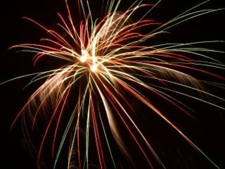 Fuochi d'artificio vietati - Un bene per umani e animali, domestici e selvatici - Buon Capodanno senza botti!