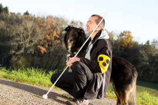 Cane guida: agevolazioni fiscali e normativa di settore