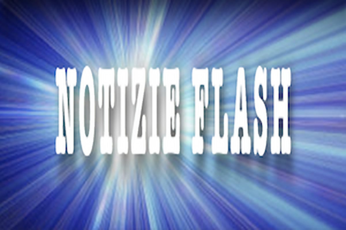 Notizie flash - ottobre 2013 -