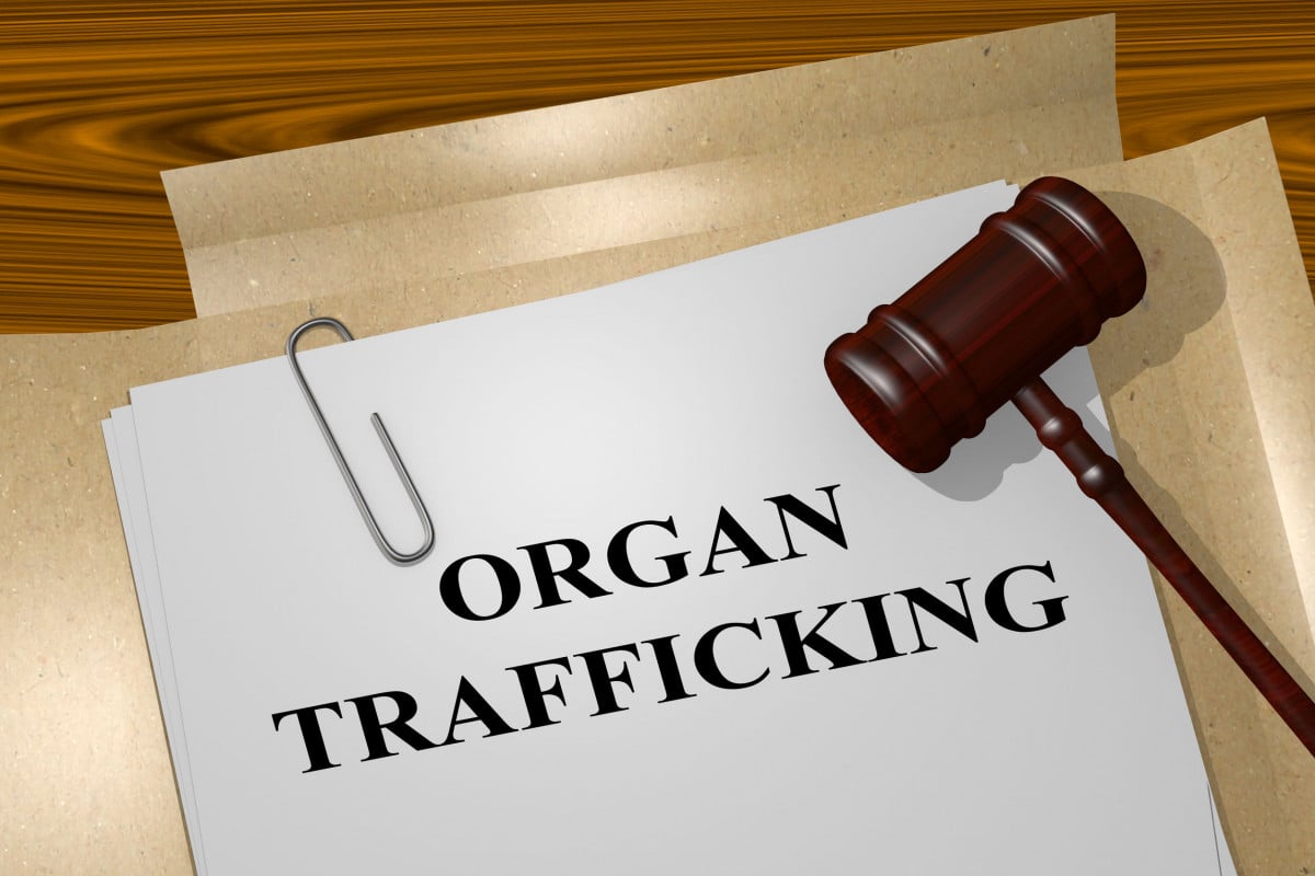 Traffico di organi: fino a 12 anni di carcere