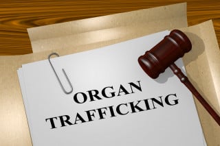 Traffico di organi: fino a 12 anni di carcere