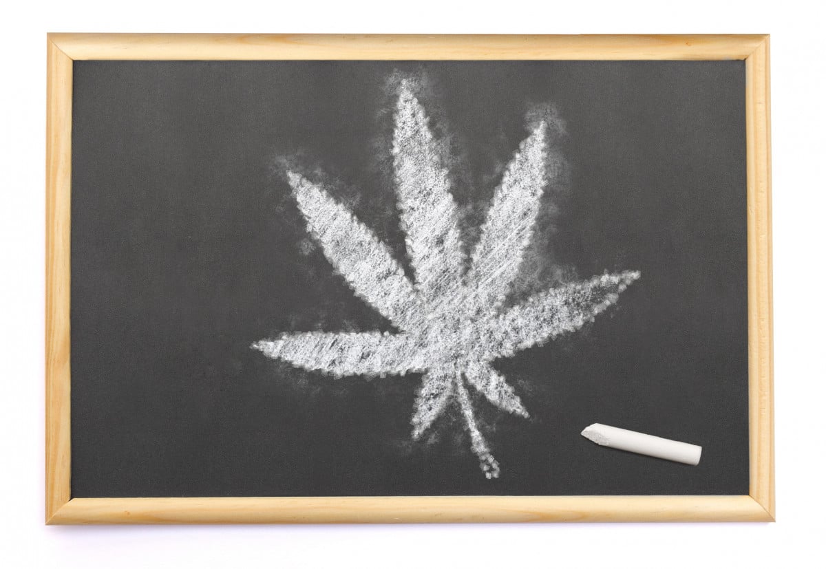 A scuola di cannabis anche in Italia