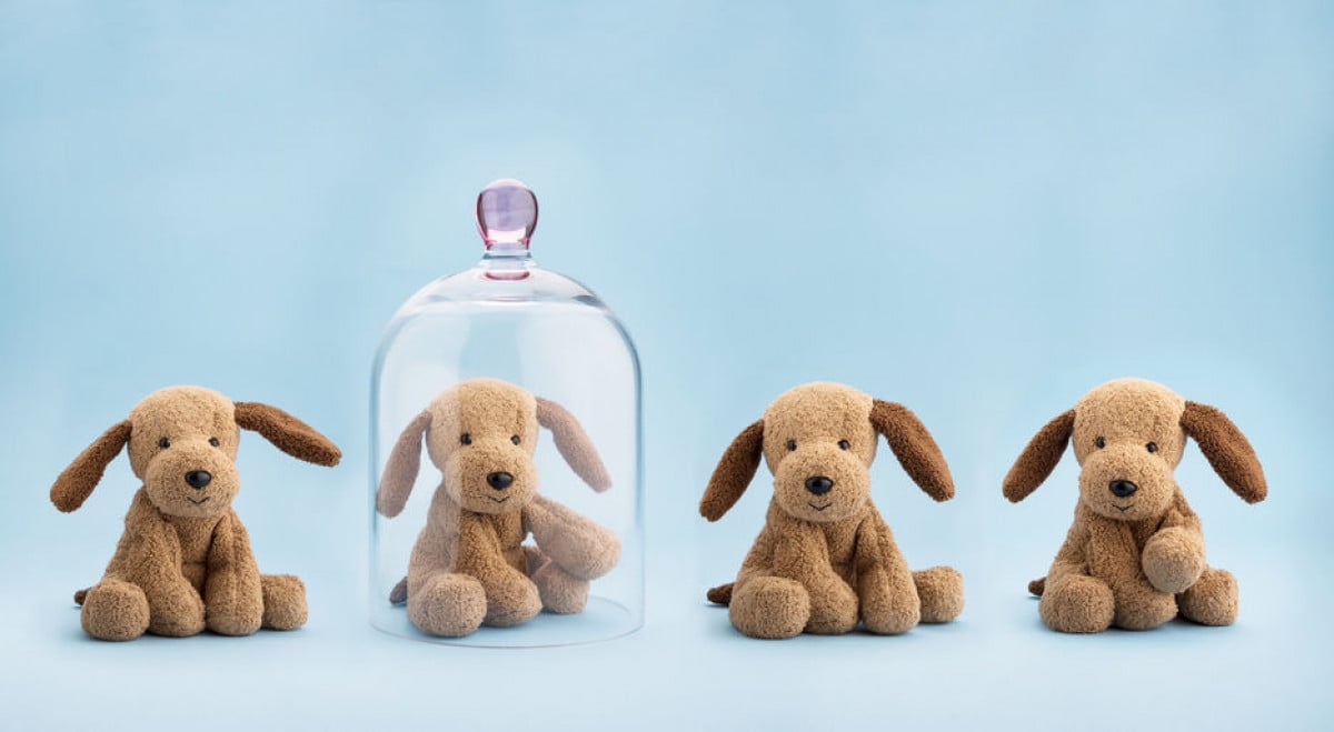 Pinta, il primo cane in blockchain contro i maltrattamenti