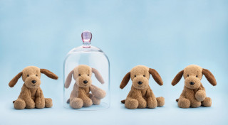 Pinta, il primo cane in blockchain contro i maltrattamenti