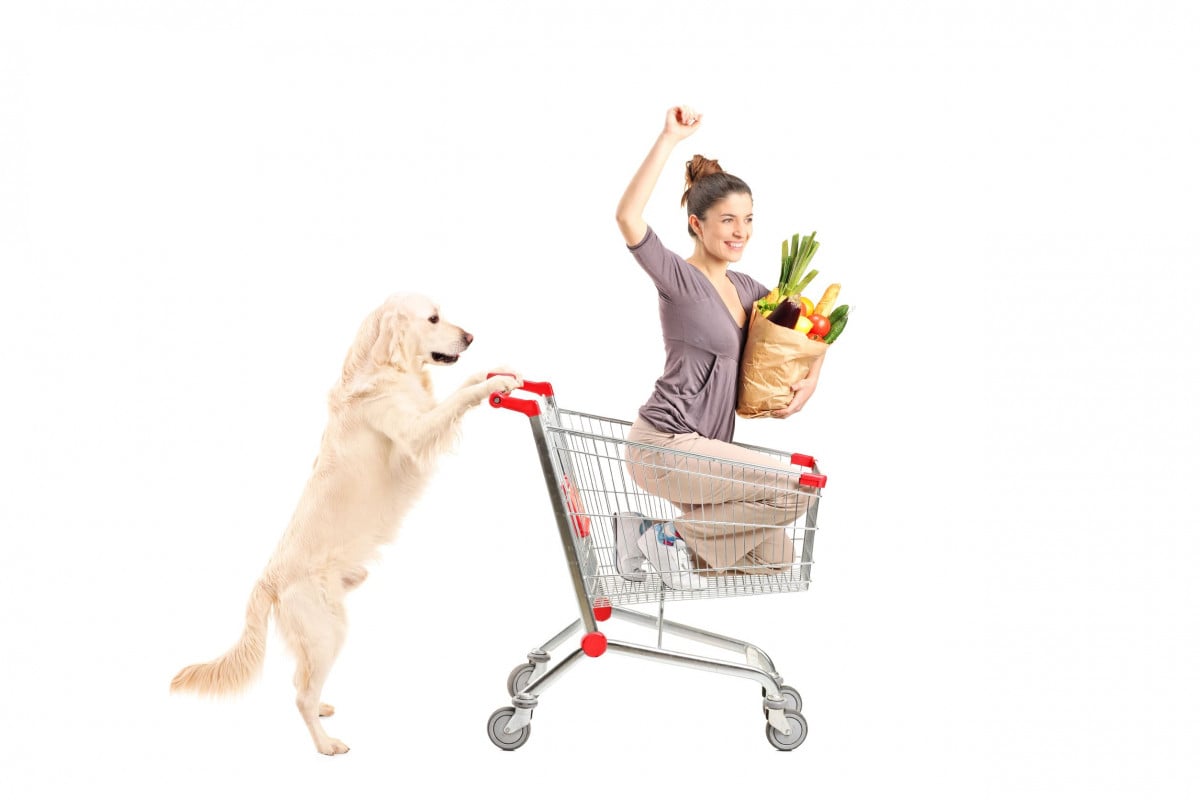 Animali al supermercato? Non c'è un divieto assoluto