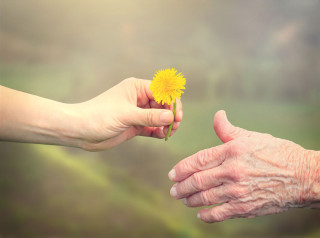 Caregiver: gli aspetti legali