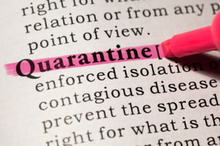 Violare la quarantena è ancora reato?