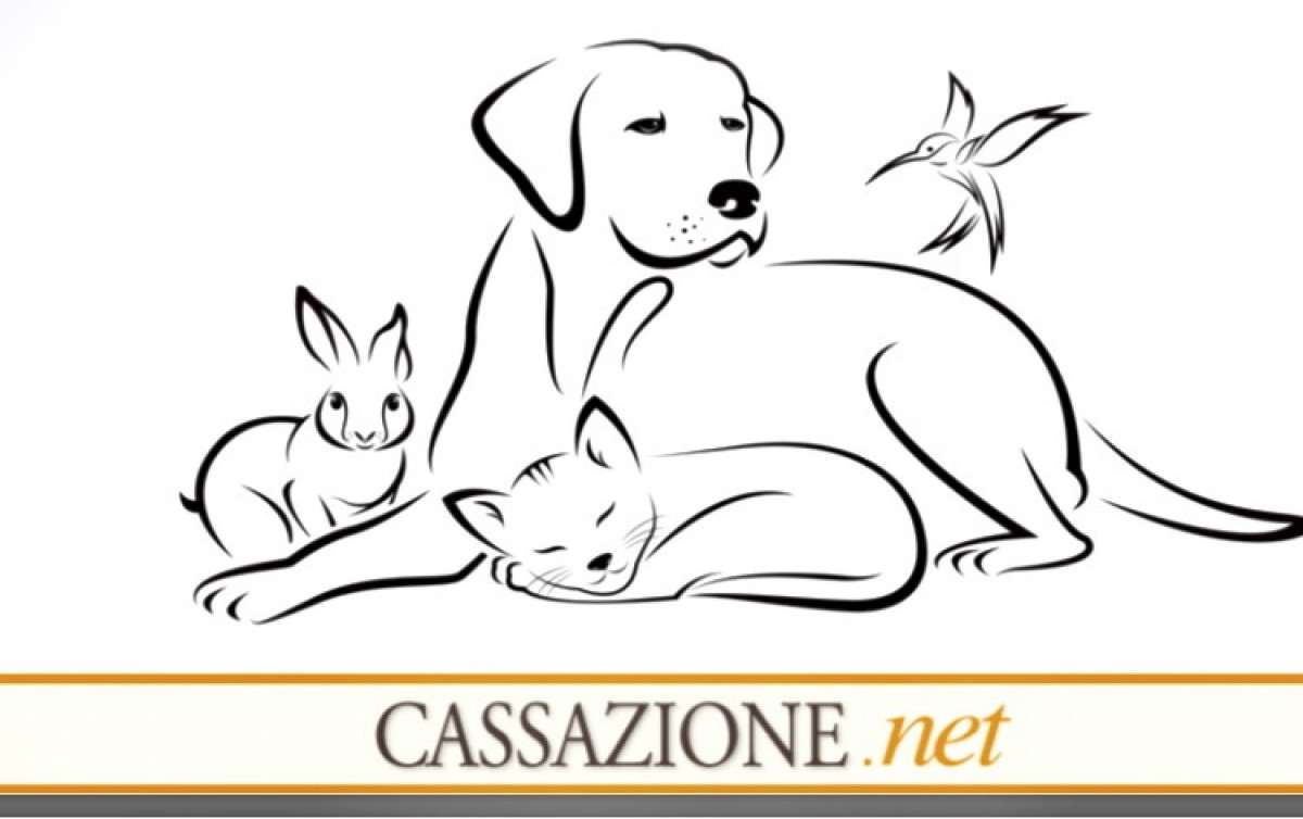 E' nato il primo codice di diritto animale
