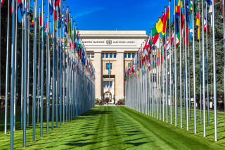 L'Organizzazione delle Nazioni Unite (ONU)