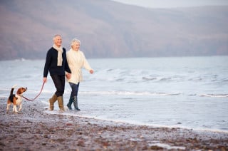 Riforma pensioni quasi pronta: cosa prevede