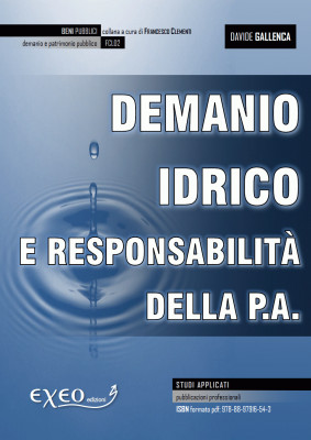 Demanio idrico e responsabilità della pubblica amministrazione. Un ebook di Davide Gallenca
