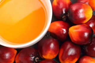 Olio di palma: le raccomandazioni del Ministero