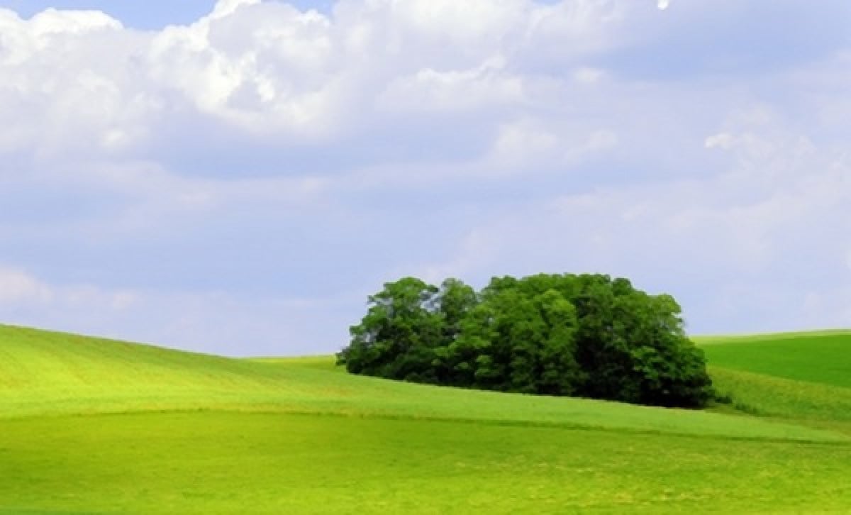 Legge sui Terreni Agricoli Ungheresi - Proprietá del Fondo Nazionale