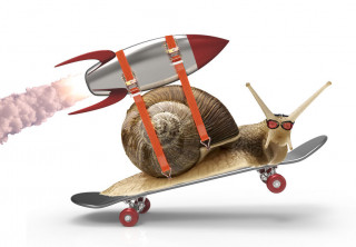 L'istanza di accelerazione non può condizionare l'equa riparazione