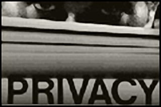 Privacy: l'Autorità garante sta in giudizio come una parte privata