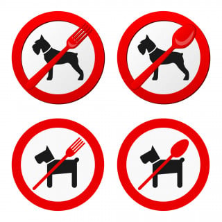 Bar e ristoranti: è legittimo vietare l'ingresso a Fido?