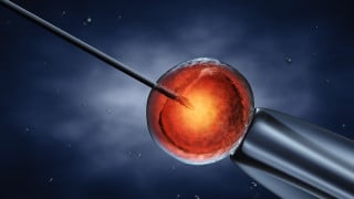 Cassazione: reato commerciare ovuli anche se la donazione è eterologa