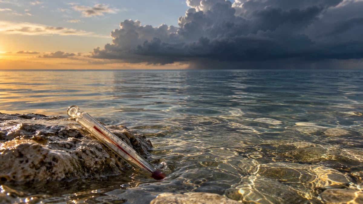 Il mare non discute: il negazionismo che non nega più