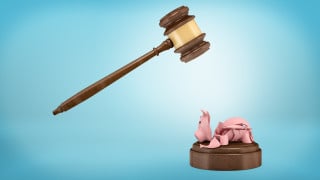 Fisco pignora 300mila euro: Codacons a rischio chiusura