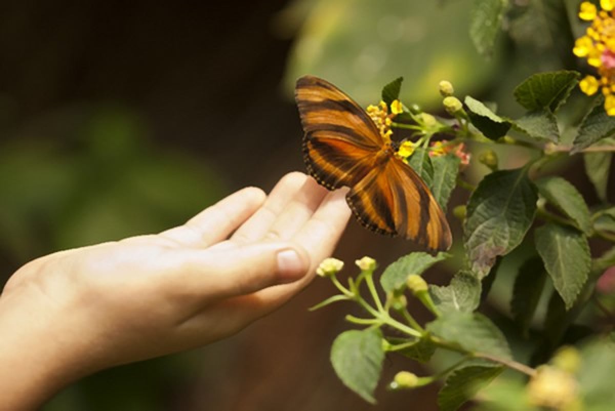 Il diritto dei bambini alla natura, alla loro natura