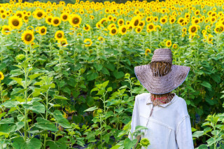 Disoccupazione agricola