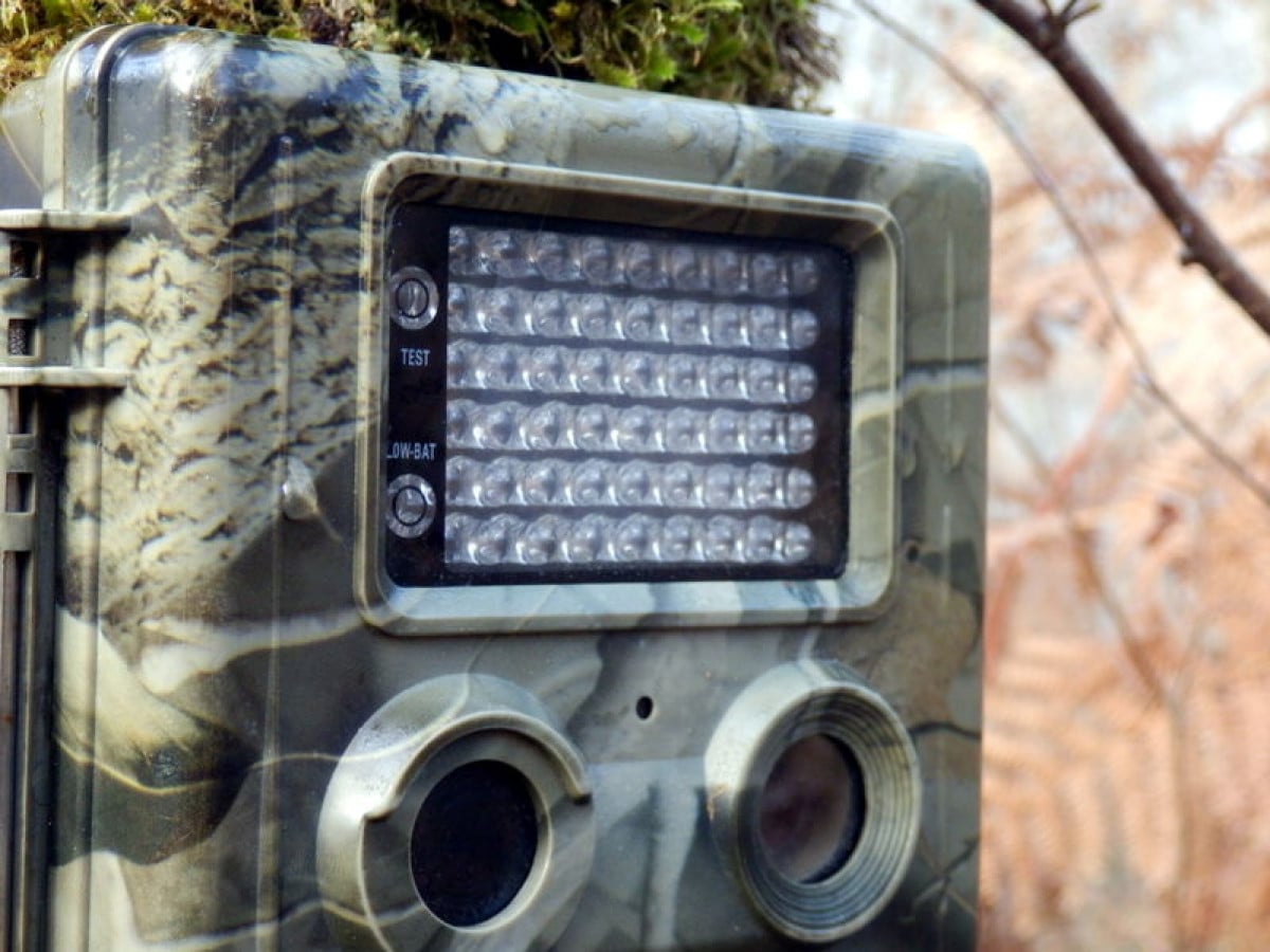 Cos'è una fototrappola e suoi vantaggi