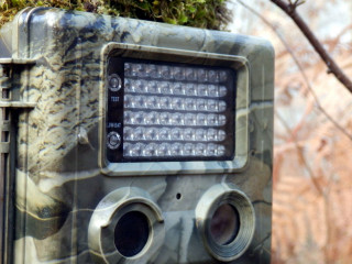 Cos'è una fototrappola e suoi vantaggi