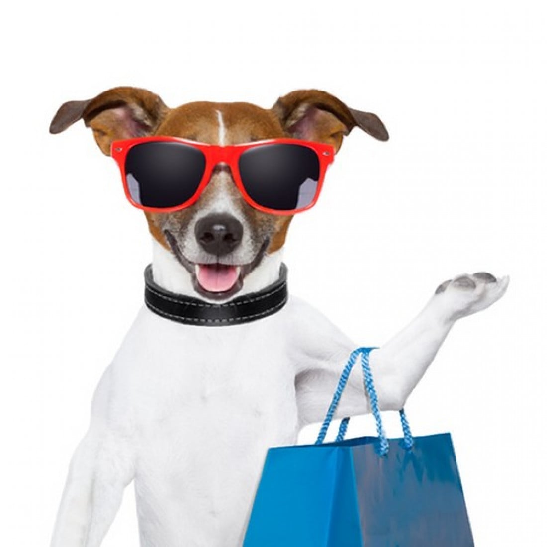 CANI - Ingresso vietato al SUPERMERCATO - Un lettore scrive a Posta & Risposta. Dite la vostra