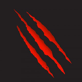 Disabile picchiato: ecco cosa rischiano l'aggressore e chi è rimasto a guardare