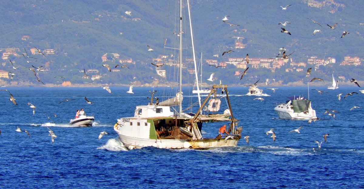 Il Governo vende il mare di "nascosto" ai francesi