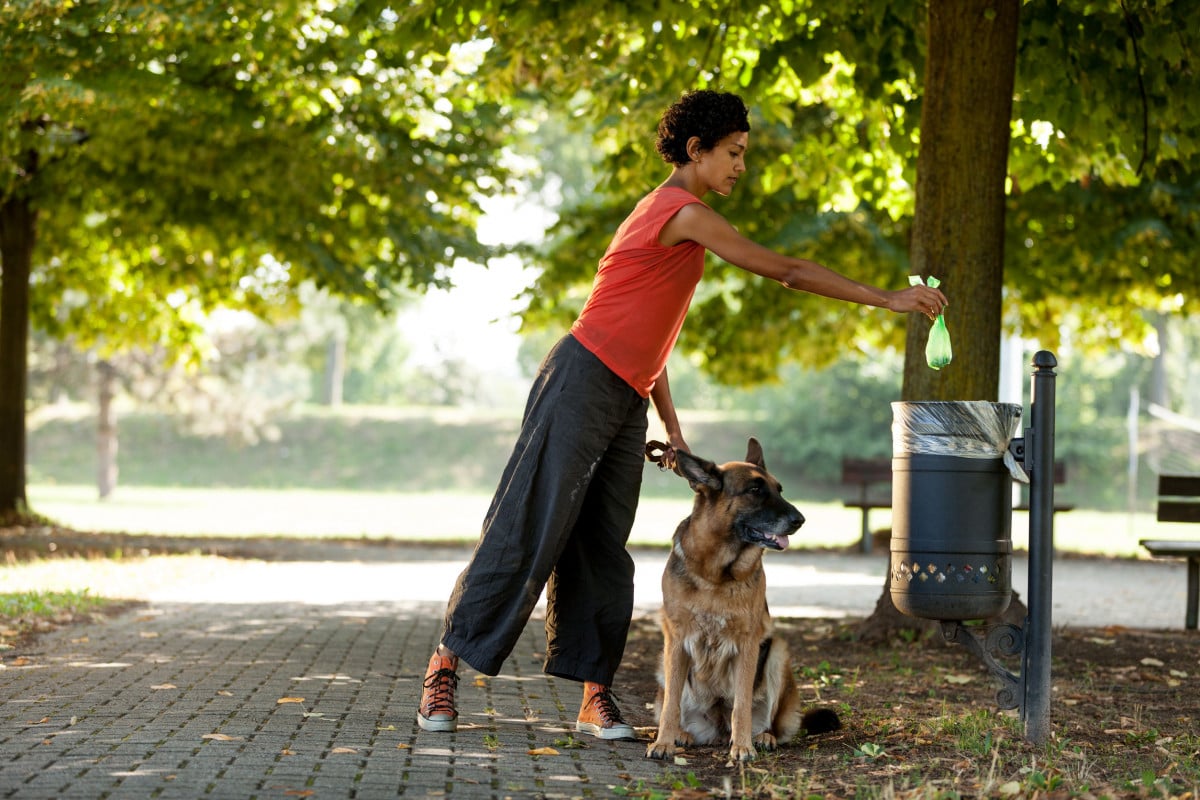 Dna del cane per multare il padrone maleducato