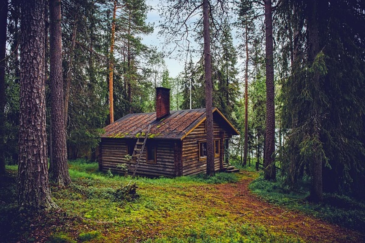 La famiglia nel bosco