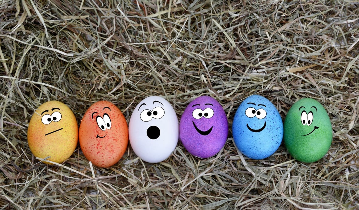 Buona Pasqua da StudioCataldi.it