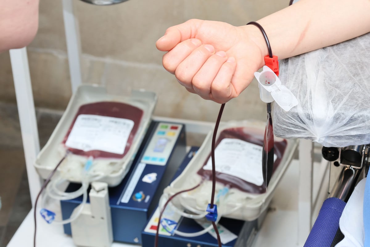 Testimoni di Geova: sangue, coscienza, responsabilità e scelte terapeutiche